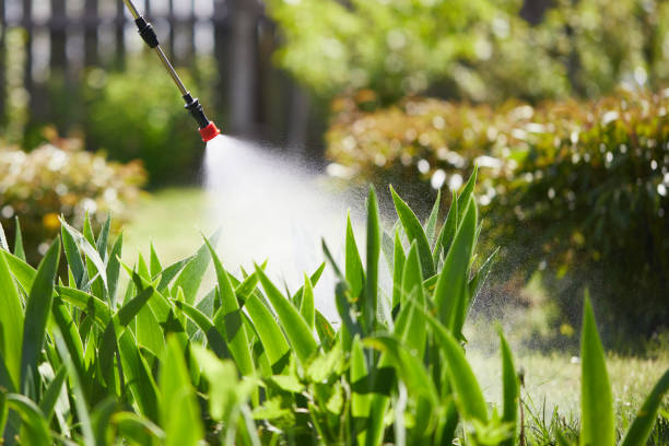 24/7 Emergency Termite Control experts in Peoria, AZ