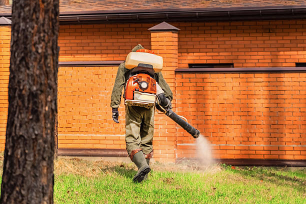 Trusted Mosquito Control service in Peoria, AZ - Nex Pest Control